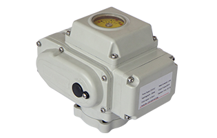 Beaver Compact Electric Actuator