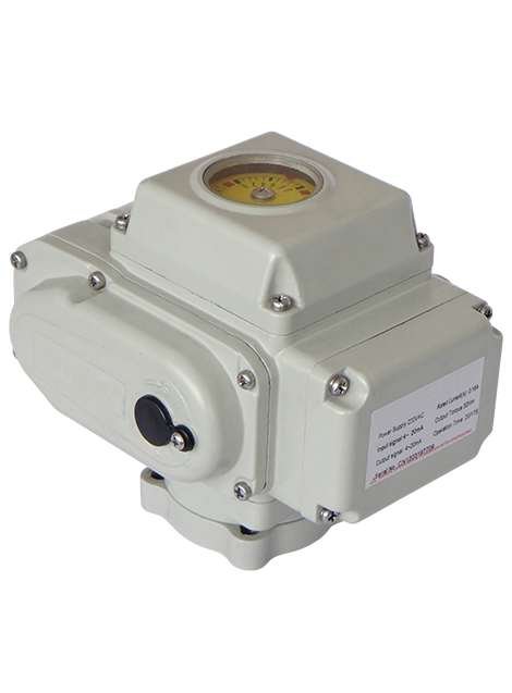 Beaver Compact Electric Actuator