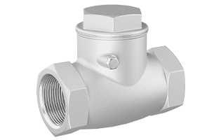 Beaver Small Bore Swing Check Valve